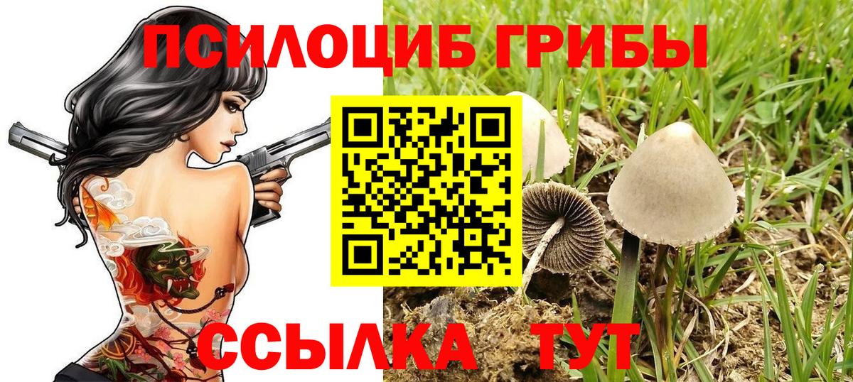 Псилоцибиновые грибы мицелий Фрязино